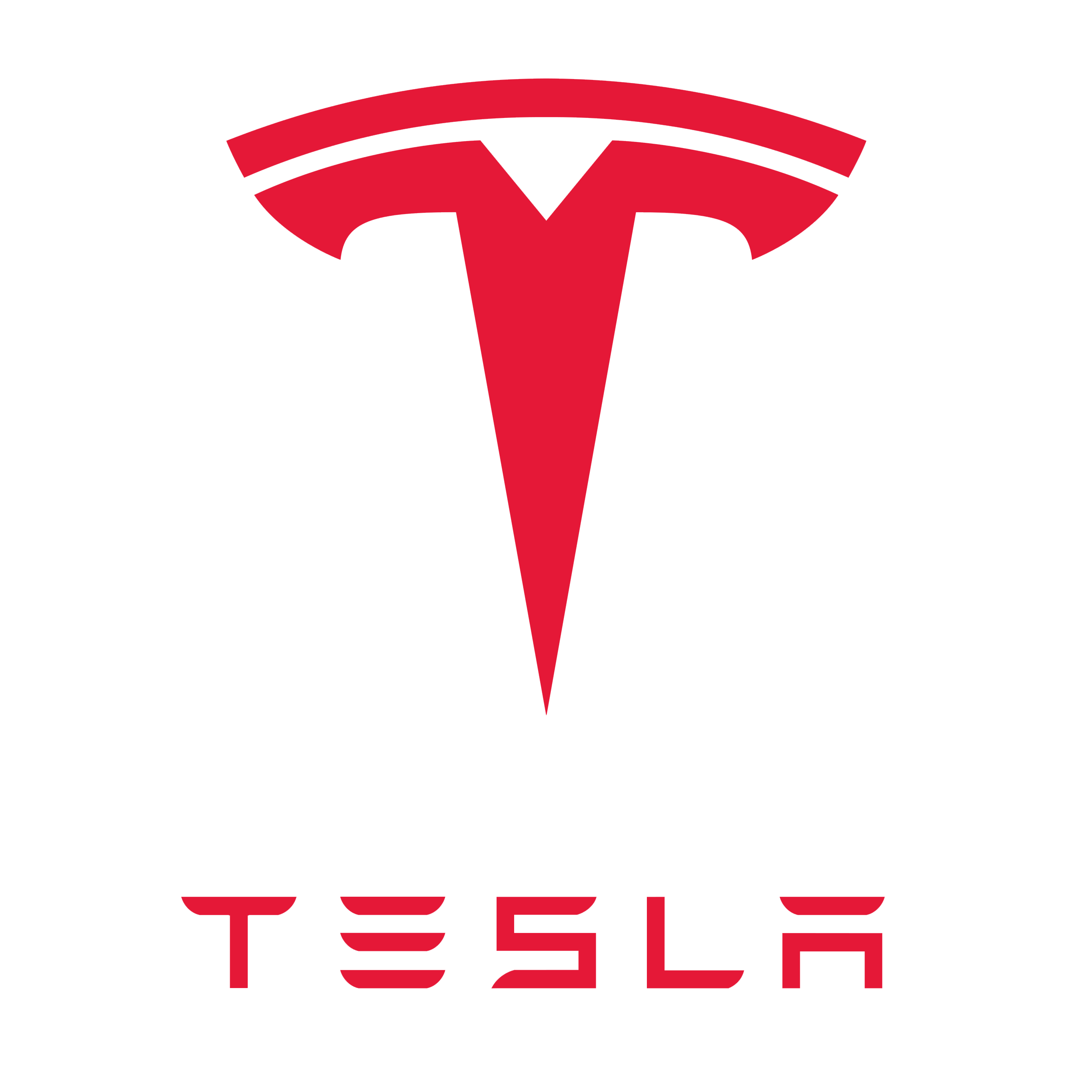 Tesla EV charger partner logo